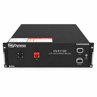 Аккумуляторная батарея DYNESS HV51100 LiFePO4 51.2V 100Ah 5.12 kWh A2268000902 фото